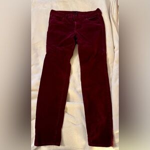 Edyson Burgundy Corduroy Pants